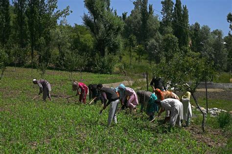 Rural India Economic Activities Did Better During 2021 Lockdown Says Survey Indiaweekly