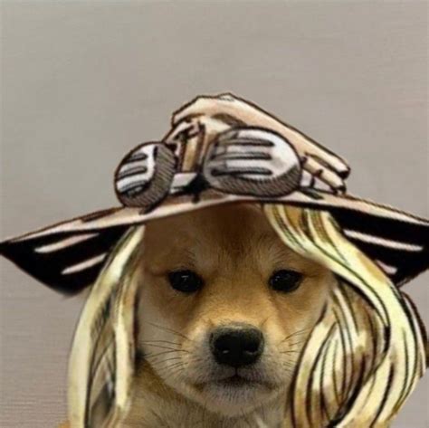 Dog With Hat Jojo Gyro Собачки Морды животных Смешные рисунки