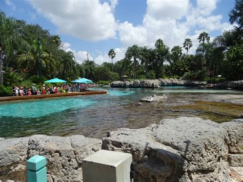 General View Of Dolphin Cove At Seaworld Orlando Zoochat