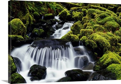 Waterfall Over Mossy Rocks Olympic National Park Washington United