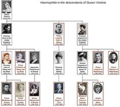 Januar 1901, starb königin viktoria von england. Königin Victoria Von England Stammbaum - Queen Victoria ...