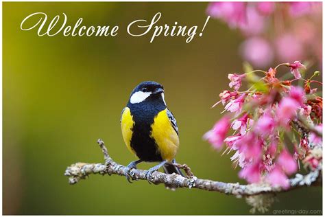 Greeting Cards For Every Day Welcome Spring 10 Amazing Pictures And Cards