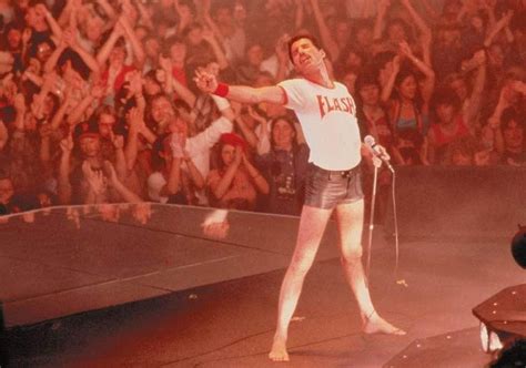 Pin By Nichole Skillman On Queen Queen Freddie Mercury Freddie Mercury Death Freddie Mercury