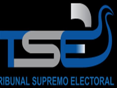TSE estudia sanción a precandidatos y partidos políticos por campaña