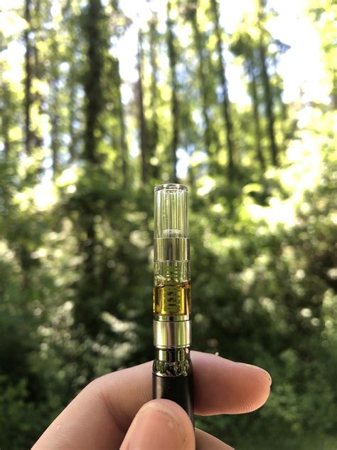 Illinois trees and Illinois trees (waterfall glen) - Love this Green