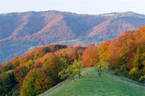 Autumn On The Mountain Hills Stock Image Image Of Meadow Colorful