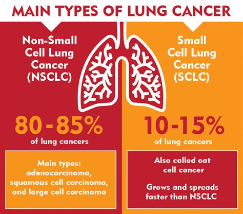 the different types of lung cancer