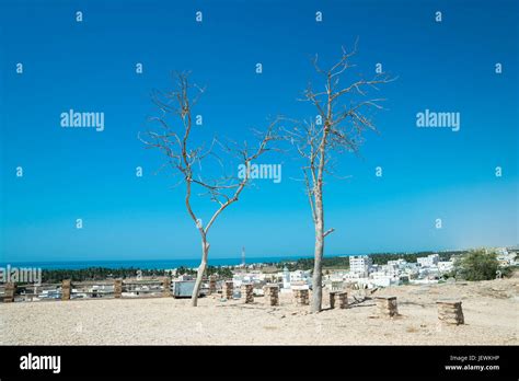Taqah Dhofar Governorate Oman Stock Photo Alamy