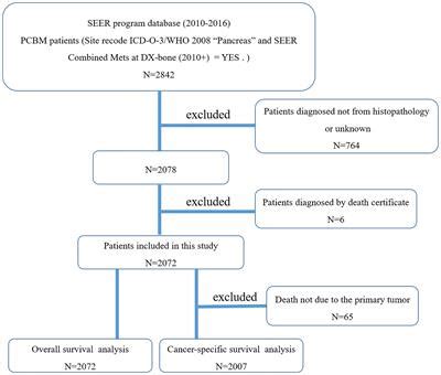 Frontiers Clinicopathological Features Prognostic Factors And Survival In Patients With