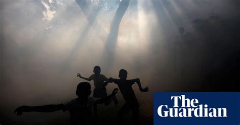 drug treatment hope for dengue fever after research breakthrough drugs the guardian