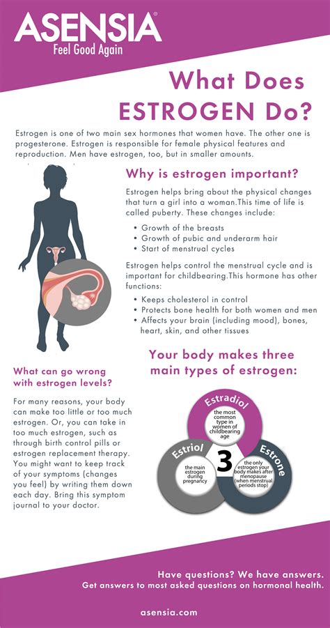 What Does Estrogen Do [infographic] Infographic Plaza