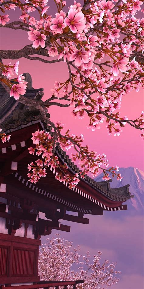 Update Cherry Blossom Wallpaper Anime Super Hot In Coedo Com Vn