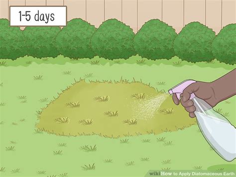 3 Ways To Apply Diatomaceous Earth Wikihow