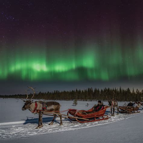 Northern Lights Reindeer Safari Visit Finland
