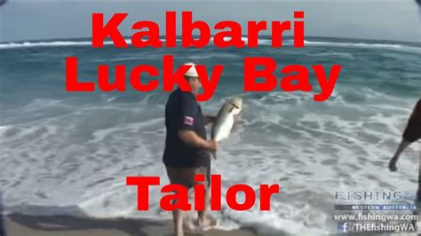 Kalbarri Lucky Bay Tailor Best Of Fishing Wa Episode 16 Preview