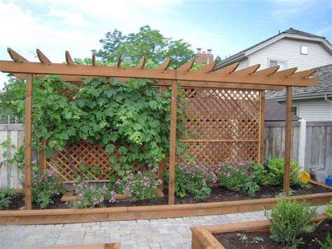 Trellis For A Grape Vine And Screen From The Neighbor Maybe Out Front
