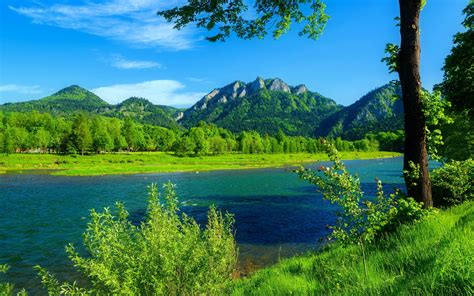 River Dunajec Poland Summer Landscape Mountains With Forest Green Grass Blue Sky Desktop