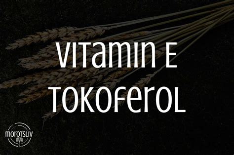 Vitamin E Tokoferol • Morotsliv