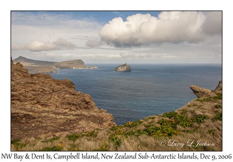 Campbell Island New Zealand Sub Antarctic Islands Slideshow
