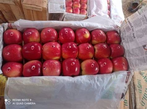Himachali A Grade Fresh Kashmir Apple Delicious Packaging Size 20 Kg