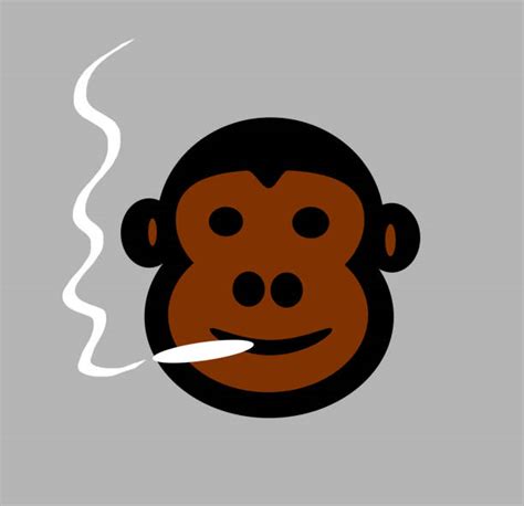400 Monkey Smoking Stock Photos Pictures And Royalty Free Images Istock