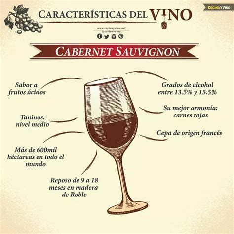Cabernet Sauvignon Wine Coolers Drinks Wine Cocktails Drink Wine
