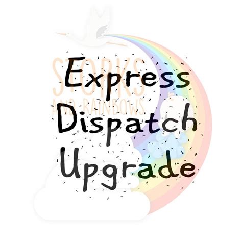 Express Fast Dispatch Upgrade Add On Add This To Your Order Etsy