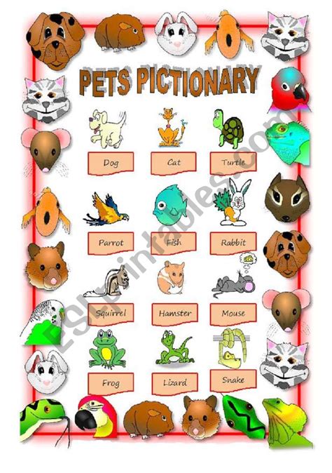 Pets Pictionary Esl Worksheet By Filipacorreia