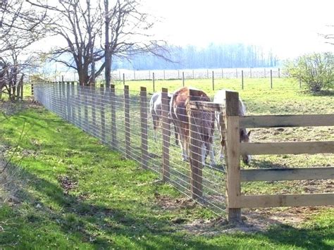 Incredible How To Make A Goat Fence Ideas