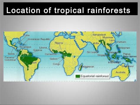Tropical rainforests are found in a narrow belt either side of the equator. Tropical Rainforest: Where Is The Tropical Rainforest Located