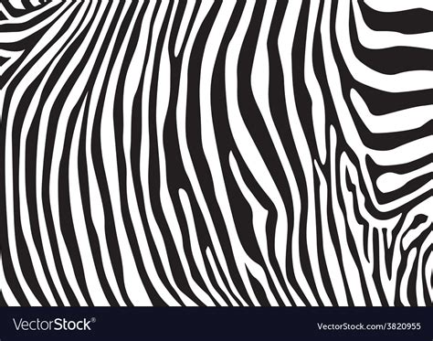 Zebra Pattern Template