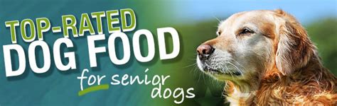 How to shop for senior dog food. What Is The Best Dog Food for Senior Dogs?