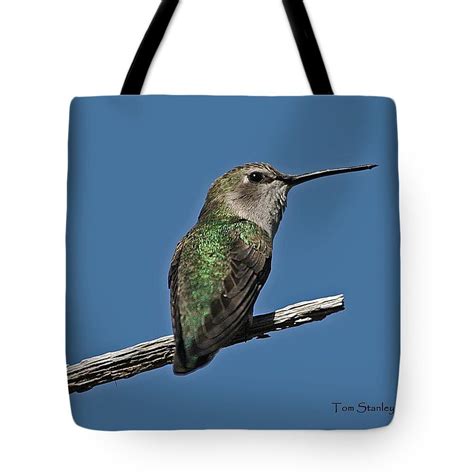 Humming Bird On A Stick Tote Bag By Tom Janca Art Tote Bag Tote Bag