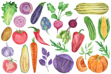 Watercolor Vegetables Kitchen Clipart Farm Pumpkin Cabbage Etsy In