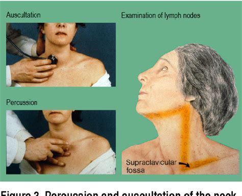 Pdf Examination Of The Thyroid Gland And Thyroid Status Semantic