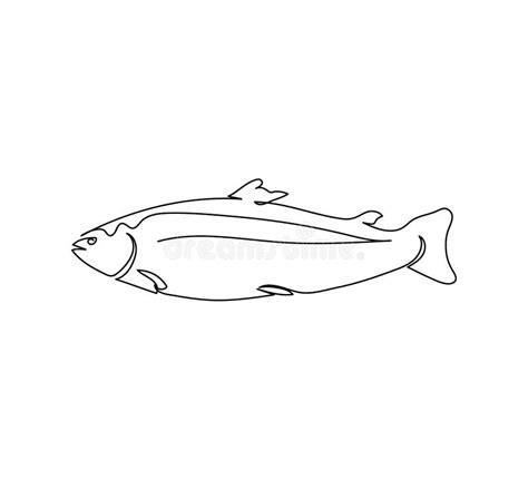 Atlantic Salmon Trout Pink Salmon Continuous Line Drawing One Line