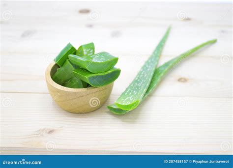 Aloe Fresco Verde Vera Rebanado Aloe Fresco Para Plantas Medicinales Y