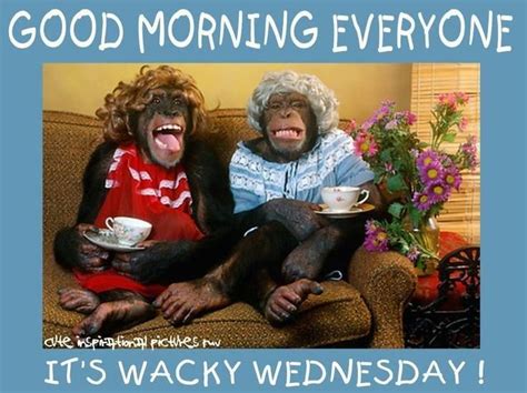 Good Morning Everyone Its Wacky Wednesday Pictures Photos And Images