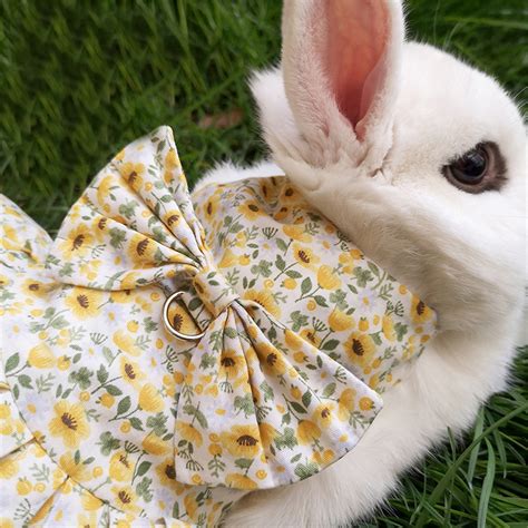 Cute Bunny Pet Vest Rabbit Clothes Dress Harness Supplies Etsy