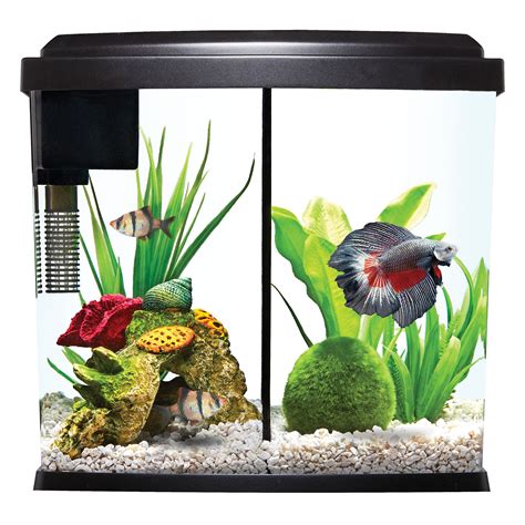 Top Fin® Bowfront Betta Duo Aquarium 25 Gallon Fish Starter Kits