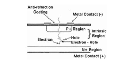 Structure Of A P I N Photodiode 1 Download Scientific Diagram