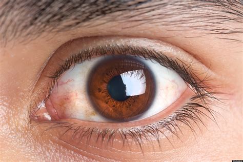 Brown Eyed Men Perceived As Trustworthy Says Study Huffpost