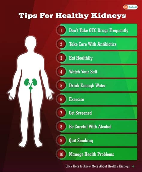 Tips To Keep Your Kidneys Healthy Doctors Advice