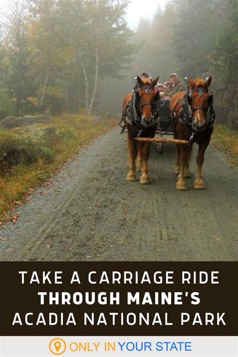 Take A Carriage Ride Through Acadia National Park For A Truly Unique