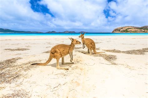 The Best Things To Do In Australia In The Summer Lonely Planet