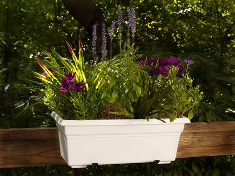Free shipping on orders over $25 shipped by amazon. 18" Plastic Window Box Planter Garden Plant Flower Outdoor ...