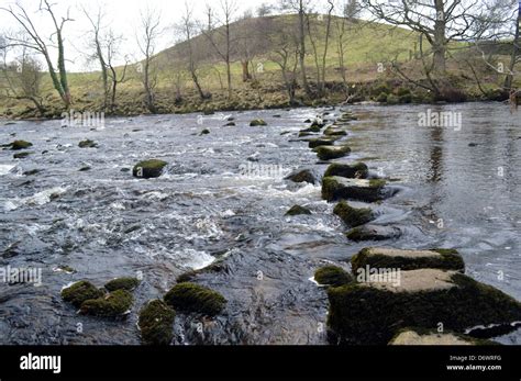 Stepping Stones Over The River Wharfe To Drebley On The Dales Way Stock