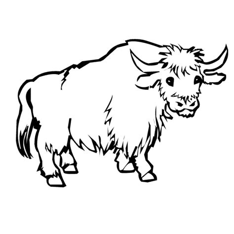 Yak Coloring Page For Kids