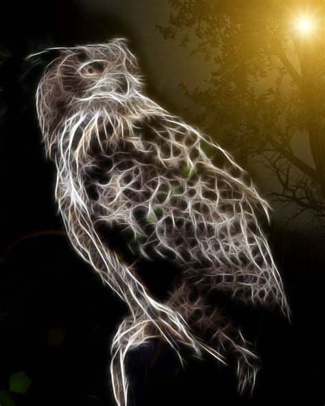 Eagle Owl By Tilly Awesome Bird Fractal Art Fractals Owl