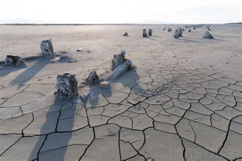 Photos The Great Salt Lake Is Drying Up And It Could Have Global Impacts